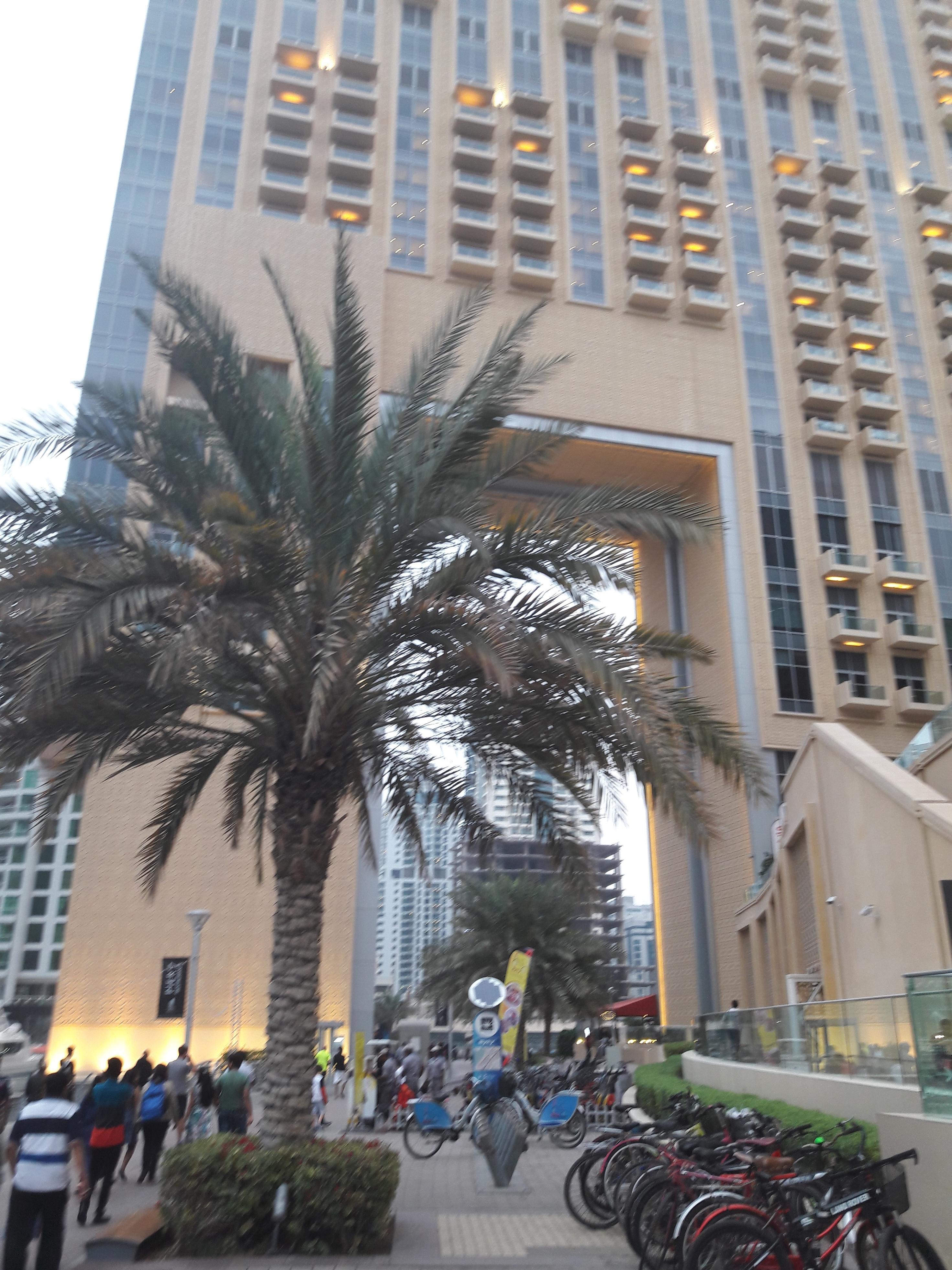Dubai 2017